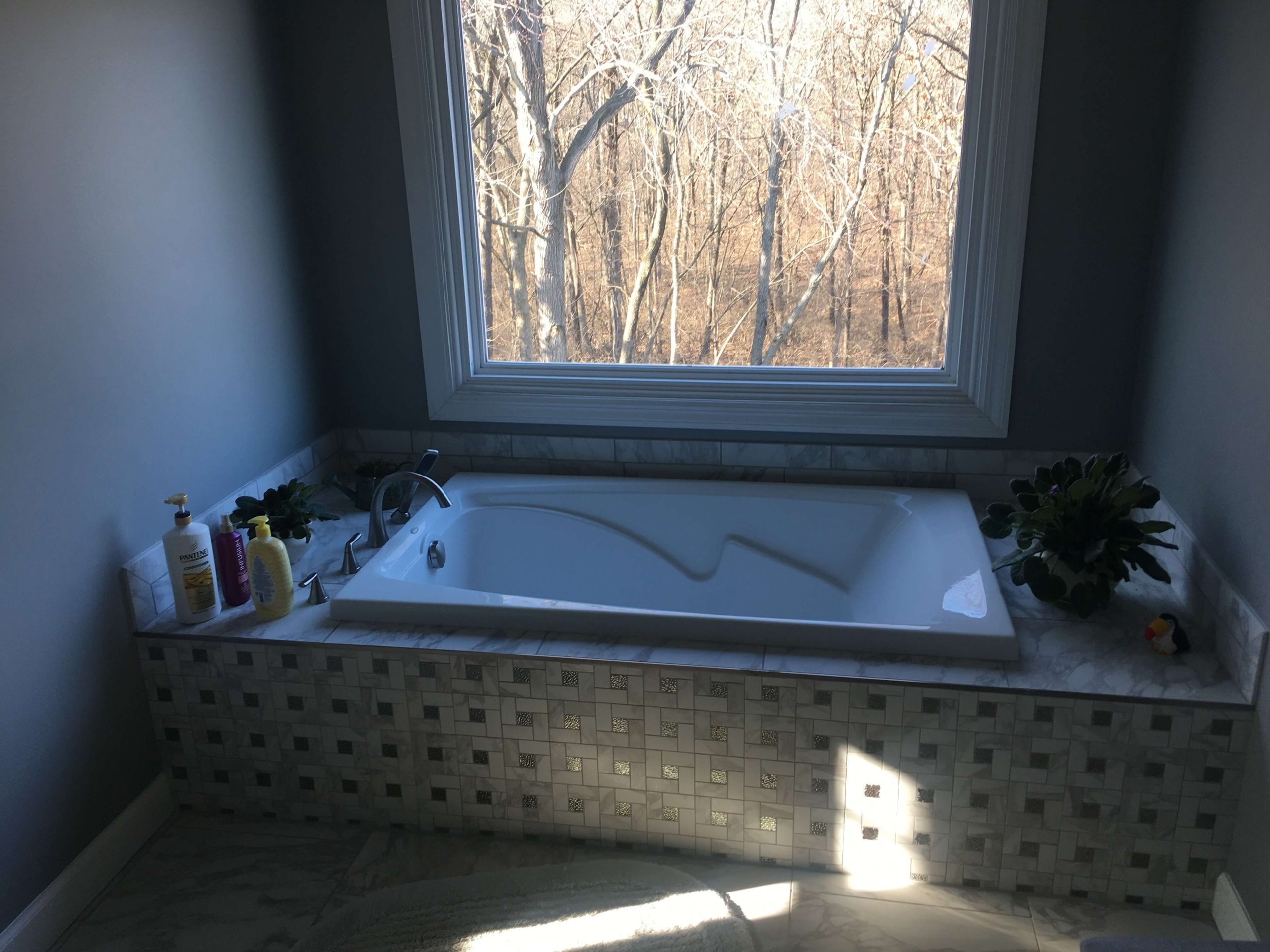 tub with a view